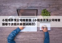 小程序開發(fā)公司哪里強(qiáng)（小程序開發(fā)公司哪里強(qiáng)哪個(gè)濟(jì)南興田德潤簡介）
