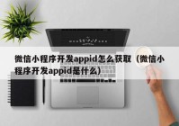 微信小程序開發(fā)appid怎么獲?。ㄎ⑿判〕绦蜷_發(fā)appid是什么）