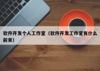 軟件開發(fā)個人工作室（軟件開發(fā)工作室有什么前景）