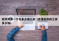 軟件開(kāi)發(fā)一個(gè)月多少錢工資（開(kāi)發(fā)軟件的工資多少錢）