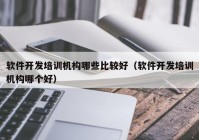 軟件開發(fā)培訓機構(gòu)哪些比較好（軟件開發(fā)培訓機構(gòu)哪個好）