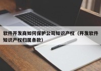 軟件開發(fā)商如何保護公司知識產(chǎn)權(quán)（開發(fā)軟件知識產(chǎn)權(quán)歸屬條款）