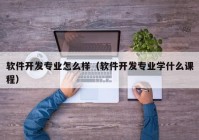 軟件開發(fā)專業(yè)怎么樣（軟件開發(fā)專業(yè)學什么課程）
