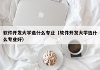 軟件開發(fā)大學選什么專業(yè)（軟件開發(fā)大學選什么專業(yè)好）