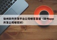 徐州軟件開發(fā)平臺(tái)公司哪家靠譜（徐州app開發(fā)公司哪家好）