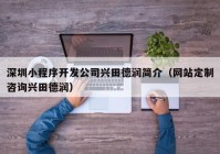 深圳小程序開發(fā)公司興田德潤簡介（網站定制咨詢興田德潤）